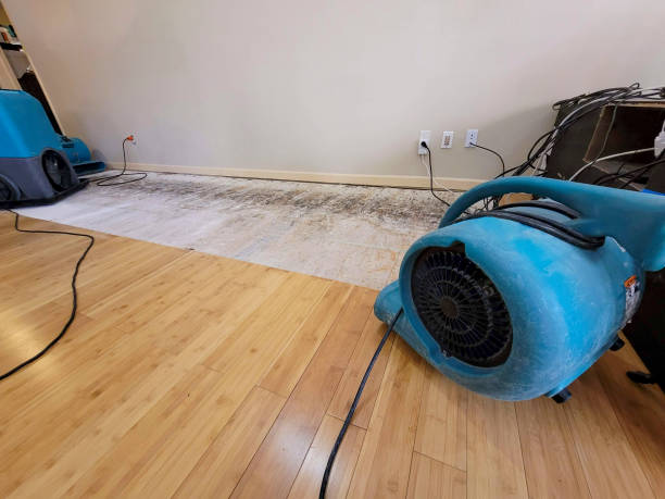 Professional Water Damage Repair technician working in Oacoma, SD